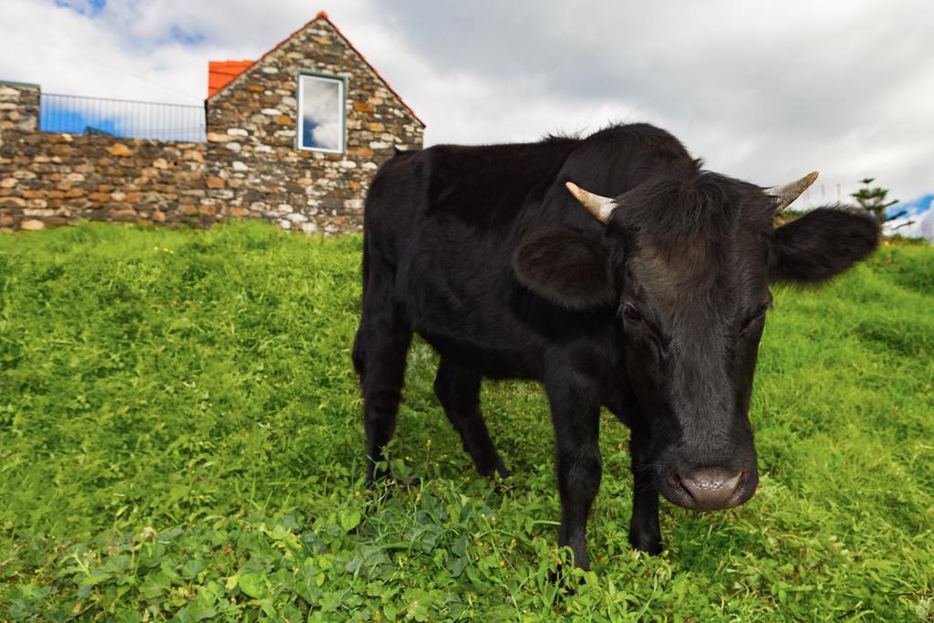 Casas Da Vereda Estreito Da Calheta エクステリア 写真